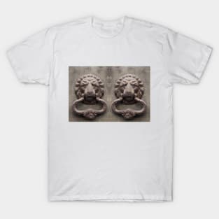 A nice pair of knockers T-Shirt